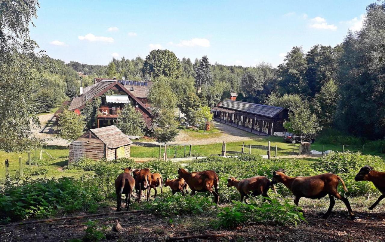 Tamarynowa Osada - Kraina Udanego Wypoczynku Villa Lowyn Kültér fotó