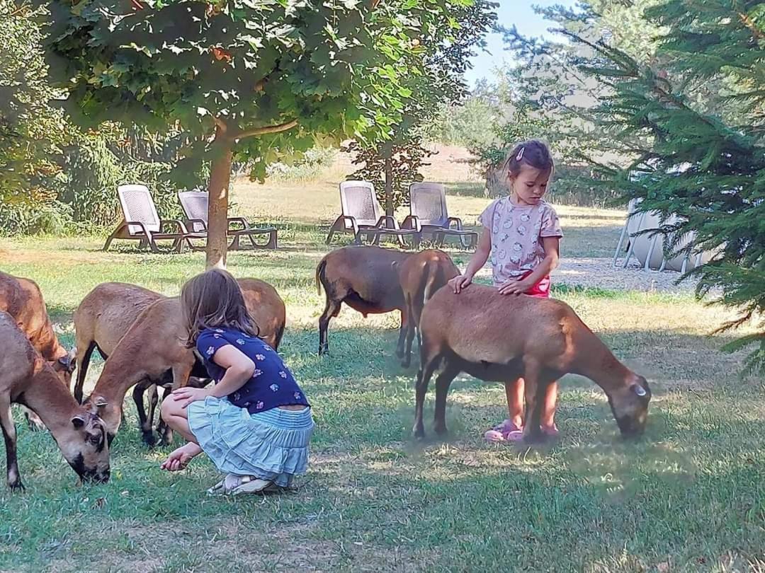 Tamarynowa Osada - Kraina Udanego Wypoczynku Villa Lowyn Kültér fotó